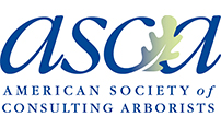 asca